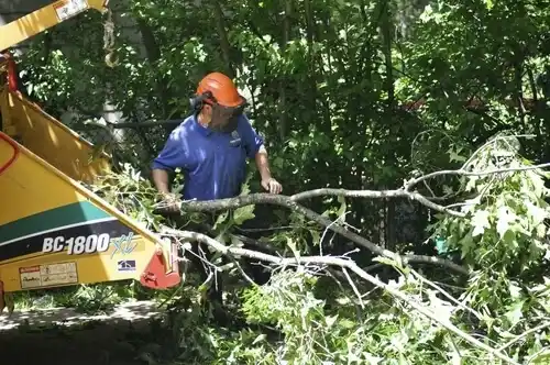 tree services Baton Rouge